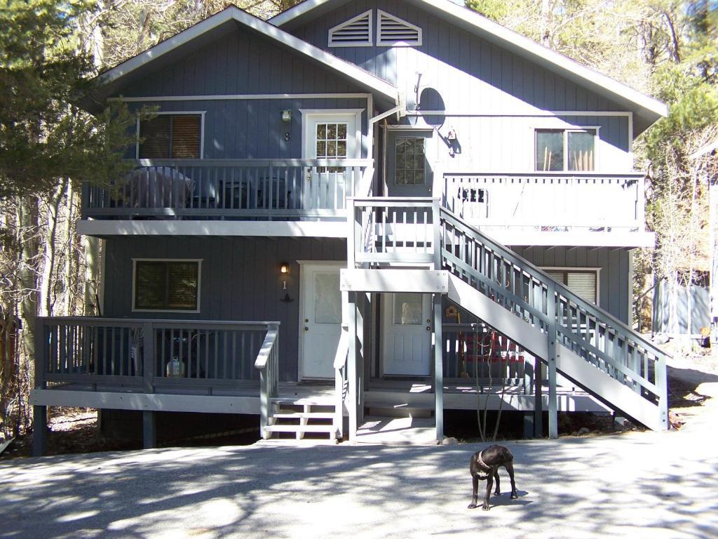 Birch Creek #1 - 1Br/1Ba - Down Canyon ジューンレイク エクステリア 写真